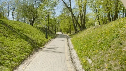 Pathway in the green spring park, daylight Stock Footage 112688975