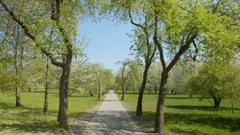 Pathway in the green spring park, daylight Video stock 112695121