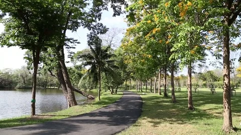 Pathway on green tree park with pond Stock Footage 75187573