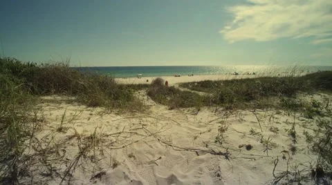 Pathway To A Gulf of Mexico Private Beach Stock-Footage 63151622