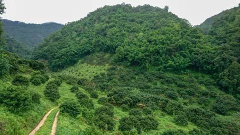 Pathway on the hill Stock Photos