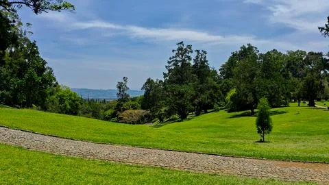 Pathway on Hill Stock Photos