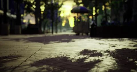 Pathway illuminated by soft light with shadows from trees and bushes Stock Illustration