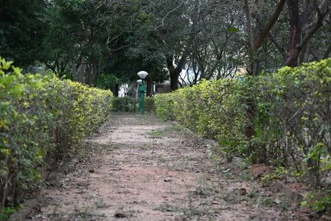 Pathway in a kids park surrounded by trees and grass Stock Photos