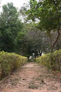 Pathway in a kids park surrounded by trees and grass Stock Photos