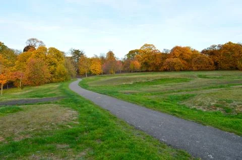 Pathway with lawn on both sides and colourful trees in the background Stock Photos