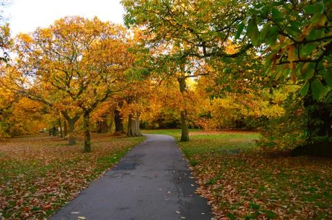 Pathway with lawn on both sides and colourful trees in the background Stock Photos