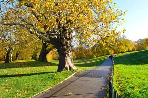 Pathway with lawn on both sides and colourful trees in the background Stock Photos