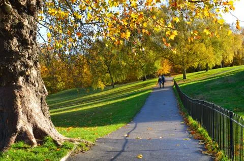 Pathway with lawn on both sides and colourful trees in the background Stock Photos
