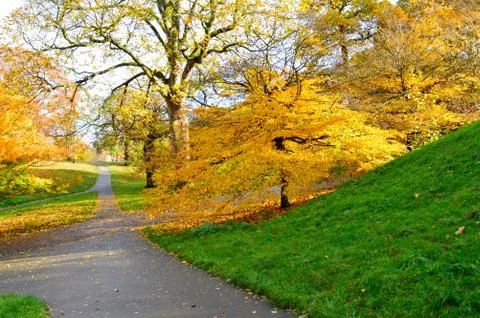 Pathway with lawn on both sides and colourful trees in the background Stock Photos