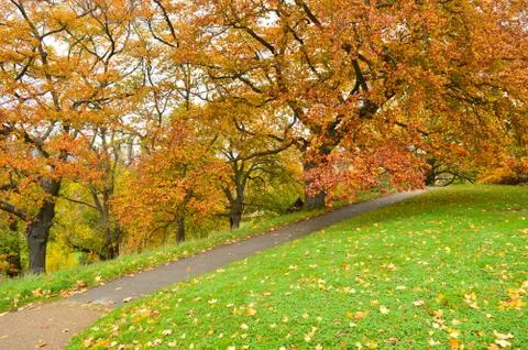 Pathway with lawn on both sides and colourful trees in the background Stock Photos