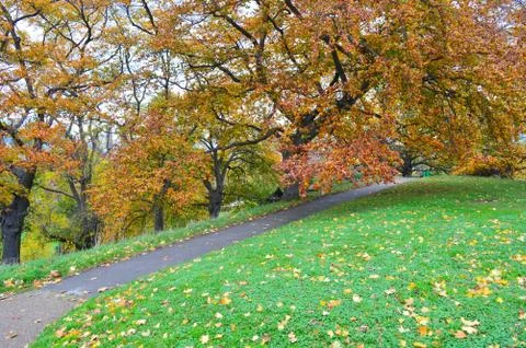 Pathway with lawn on both sides and colourful trees in the background Stock Photos