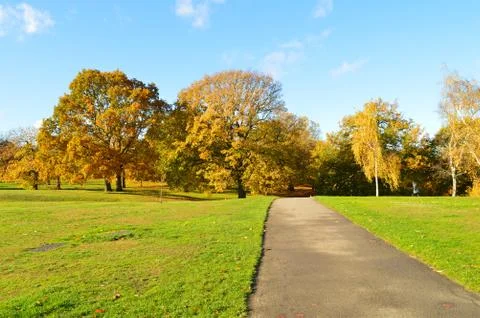 Pathway with lawn on both sides and colourful trees in the background Stock Photos