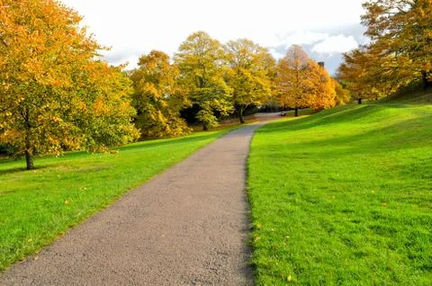 Pathway with lawn on both sides and colourful trees in the background Stock Photos