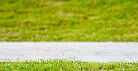 Pathway on lawn Stock Photos
