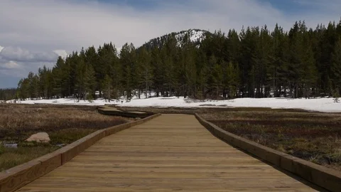 Pathway leading into the forest Stock Footage 90063079