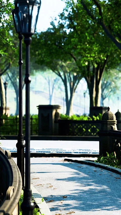 Pathway leads through park with trees and sunlight in morning hours Vidéo 336393876