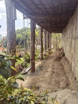 A pathway leads through a rustic structure constructed with natural materials Stock Photos