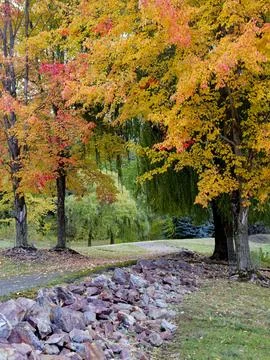 Pathway leads under colorful trees. Stock Photos
