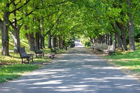 Pathway lined with benches under trees invites visitors to stroll and enjoy.. Stock Photos