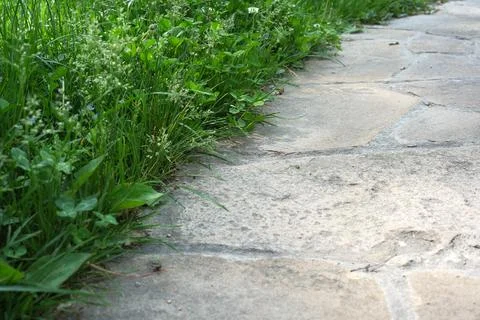 Pathway lined with green grass leads to a serene garden paradise Stock Photos