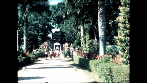 Pathway in Lush Garden Stock Footage 277976299