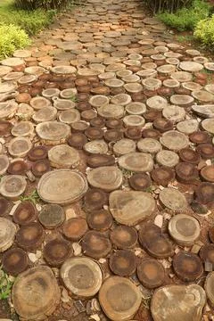 Pathway made of tree stumps in a garden Stock Photos