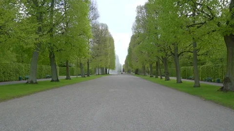 The pathway in the middle of the park Stock Footage 77564712