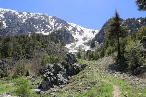 Pathway to mountain top Stock Photos