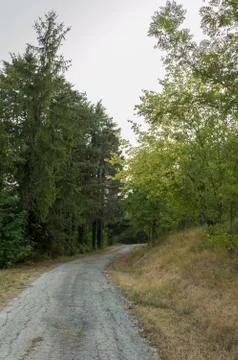 Pathway in a natural setting Stock Photos