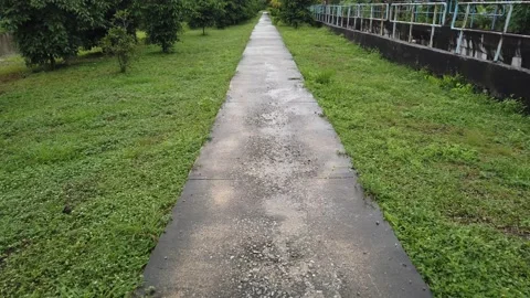 Pathway near wet grass Stock Footage 145960478