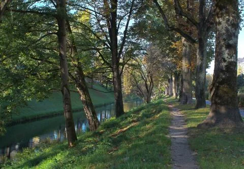 Pathway next to a river in the woods Foto stock