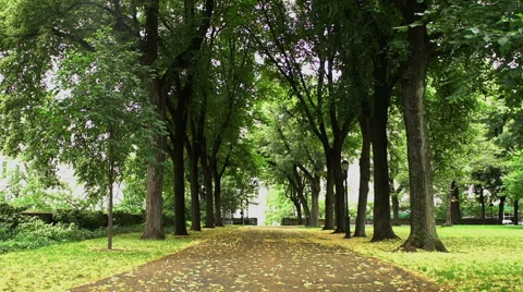 Pathway in a NYC park Stock-Footage 65771497