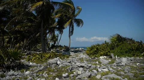 Pathway to the ocean Stockbeeldmateriaal 22814482