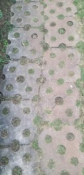 A pathway to the outdoor park Stock Photos