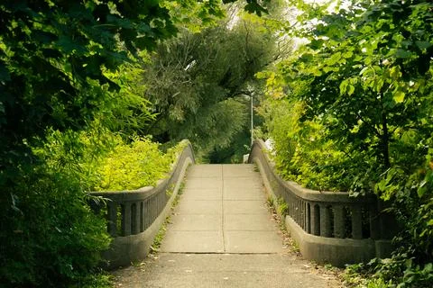 Pathway over a bridge surrounded by lush green foliage in a nature setting. Stock Photos