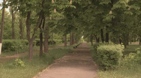 Pathway in park Stock Footage 36089150