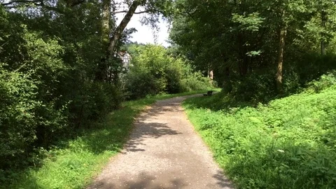 A PATHWAY IN PARK IN GERMANY Stock Footage 79262414