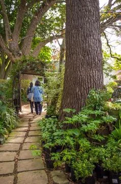 Pathway in park Stock Photos