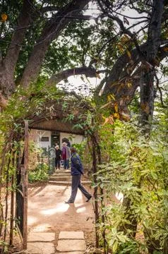Pathway in park Stock Photos