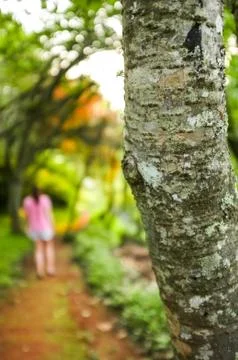 Pathway in park Stock Photos
