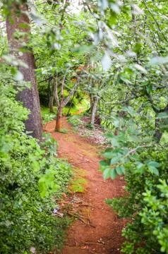 Pathway in park Stock Photos