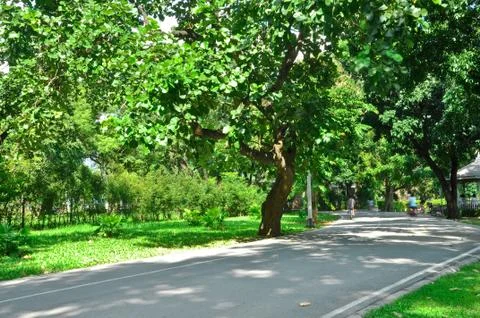 Pathway in the park Stock Photos