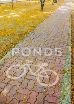Pathway on park Stock Photos