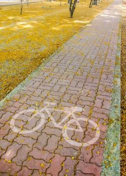 Pathway on park Stock Photos
