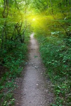 Pathway in park Stock Photos