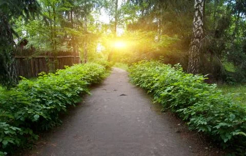Pathway in park Stock Photos