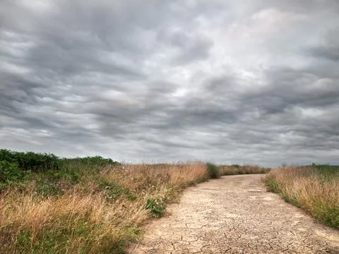 Pathway on park Stock Photos