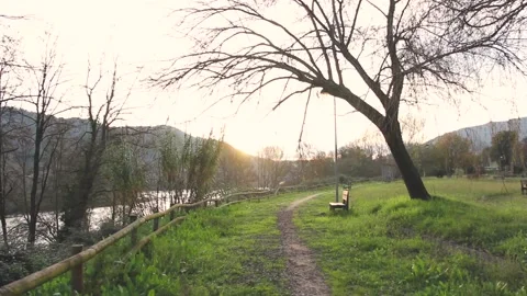 PATHWAY IN A PARK WITH SETTLE AND TREE Vídeos de archivo 100287669