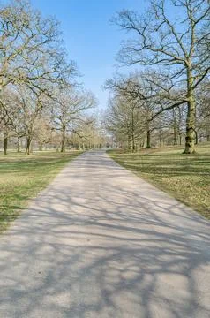 Pathway in a park in springtime Stock Photos